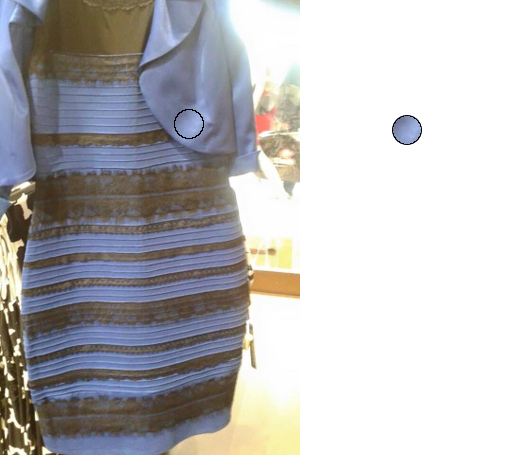red and blue dress illusion